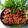 Cooksnap dari Mak Win untuk resep Ikan Kembung Balado