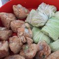 Cooksnap dari Hannyfah untuk resep Siomay ayam sayur enak untuk anak dan diet