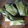 Cooksnap dari balqis fatmawati untuk resep Kue Mendut