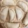 El cooksnap de Siguiendoplatos cuando hizo Tapas de empanadas tipo criollas.