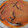 El cooksnap de rafaeltomasi cuando hizo Mejillones en salsa marinera.