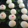 Cooksnap dari icha untuk resep Bakpao 3bahan dg 3jenis isi coklat,keju&abon