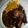 Truegodsgift's cooksnap of when they made Barbecued Chicken Halves.
