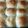 nykkihill's cooksnap of when they made Parker House Rolls.