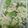 張子芸 的 絲瓜菇菇炒蛋 cooksnap
