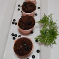 Cooksnap dari tommy wiriadi putra untuk resep Muffin Chocochips 