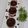 Cooksnap dari tommy wiriadi putra untuk resep Muffin Chocochips 