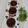 Cooksnap dari tommy wiriadi putra untuk resep Muffin Chocochips 