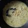 Cooksnap dari Topan Shino Aburhame untuk resep Gulai Kecambah