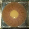 Cooksnap dari Darren Lin untuk resep Pudding Marie Regal 3 lapis