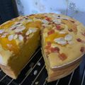 Cooksnap dari Januar Tias Mandasari untuk resep Bolu tape panggang lembut