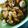 Astha Srivastava's cooksnap of when they made Ivy Gourd Stir Fry.