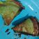 Cooksnap dari Susanti Indah Lestari untuk resep Martabak manis Teflon Simple anti gagal lembut bersarang