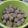 Cooksnap dari Ukhti Azahra untuk resep Bakso Sapi Kenyal