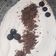 El cooksnap de Mercedes cuando hizo Mousse de café y fresas.