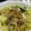 Cooksnap dari Salamah Wijaya untuk resep 9. Opor ayam kuning
