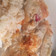 El cooksnap de edu cuando hizo Triángulos de carne y queso con masa filo.