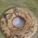 Cooksnap dari Vely untuk resep Marble cake (bolu marmer)