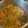 Ansgar Dierkes's cooksnap of when they made GUMBO! By Tam.