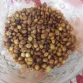 El cooksnap de Teresita Felíz cuando hizo Garbanzos Crujientes!.