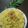 Sampa Dey Das's cooksnap of when they made উপমা(Upma Recepi In Bengali).
