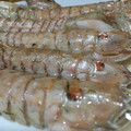 El cooksnap de Ignazio Soler Gimeno cuando hizo Galeras a la plancha con eneldo.