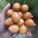Cooksnap dari Diaz Dee untuk resep Sate telur puyuh