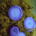 Sejal का कुकस्नैप जब उन्होंने नमकीन चावल (namkeen chawal recipe in Hindi) बनाया था।