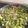 El cooksnap de MarianRo cuando hizo Judías verdes a la boloñesa con champiñones.