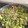 El cooksnap de MarianRo cuando hizo Judías verdes a la boloñesa con champiñones.