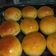 Cooksnap dari Afifa Fitia untuk resep Roti Burger homemade