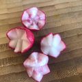 Emilys Home Cooked Kitchen's cooksnap of when they made How to carve flower radish.