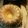 ksmullins.km's cooksnap of when they made Lemon Sour Cream Pound Cake.