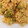 El cooksnap de Marta cuando hizo Arroz con coliflor.