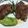 El cooksnap de nadia ruiz cuando hizo Mi carré de cerdo cocción lenta (SlowCook) con salsa al malbec.