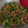 Cooksnap dari Linda Dian untuk resep OSENG BUNCIS TEMPE #pr_recookmantenelise