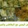 صورة من أم حاتم "، شاركها بعد تجربة وصفة بيضه مع الخضار