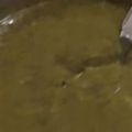 Trisha910 का कुकस्नैप जब उन्होंने सरसों का साग (sarson ka saag recipe in Hindi) बनाया था।