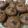 El cooksnap de Snizhana cuando hizo Cupcakes de chocolate veganos.