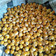 Cooksnap dari Ririn Utami untuk resep Nastar klasik 1kg