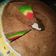 Cooksnap dari Wienski Lv untuk resep Rainbow Double cake