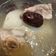陳昭昭 的 山藥排骨湯 cooksnap