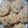 El cooksnap de Brenda ok cuando hizo Galletitas de vainilla con rocklets.