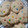 El cooksnap de Brenda ok cuando hizo Galletitas de vainilla con rocklets.