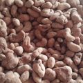 Cooksnap dari Eva Natasha untuk resep Kacang Telor renyah