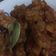 Cooksnap dari Mitha Priskila untuk resep Kering Tempe Pedas Manis