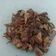 Cooksnap dari Gece untuk resep Tongkol Cabe Ijo by @bunasakha