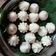 Pinal Parmar's cooksnap of when they made ઉકડીચ્ચી મોદક ((Ukadiche Modak Recipe In Gujarati).