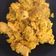 El cooksnap de Paula Dorca Iglesias cuando hizo Paella con pechuga de pollo.