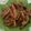 Cooksnap dari Ningrum Astuty untuk resep Ceker Pedas Lapindo khas Sidoarjo